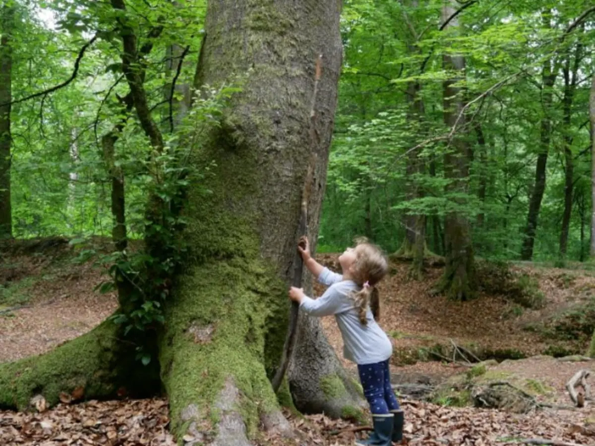 Une jeune fille regarde un grand arbre accoté sur deux mains dessus