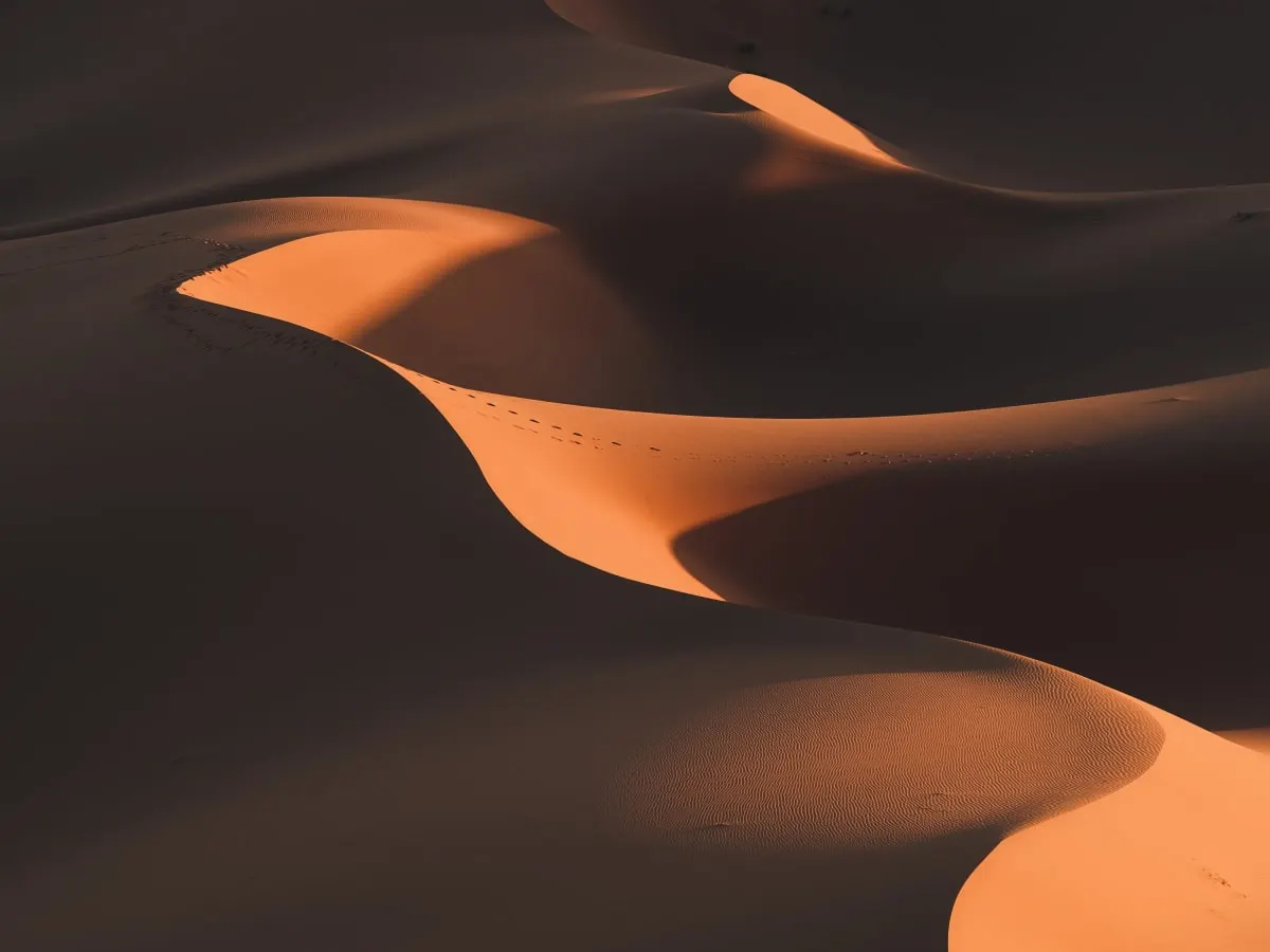 Des dunes