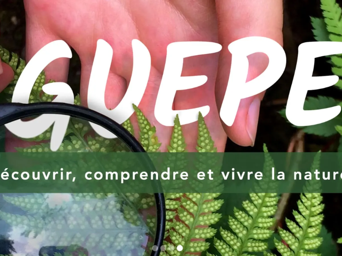 Le logo de GUEPE écrit en gros sur un plan de feuille et deux mains
