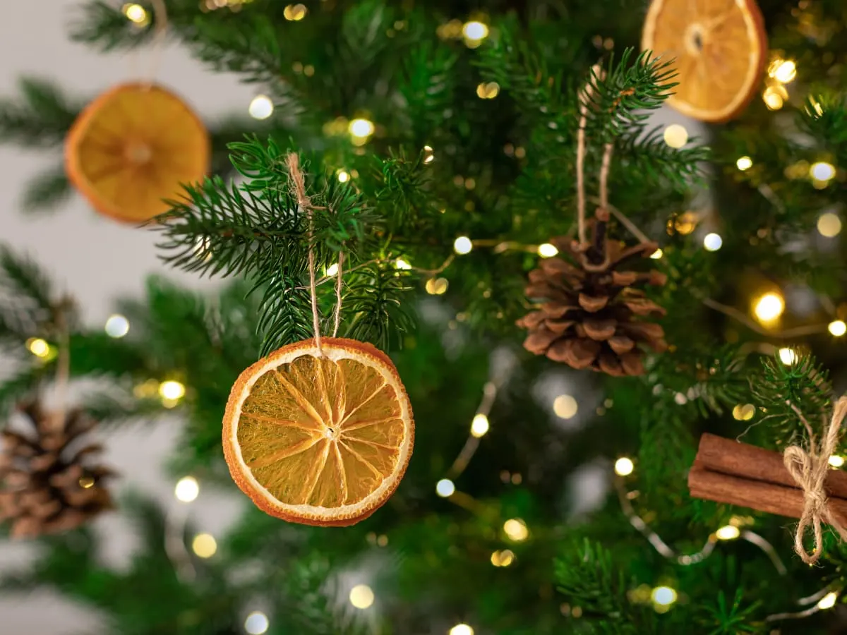 Sapin de noël